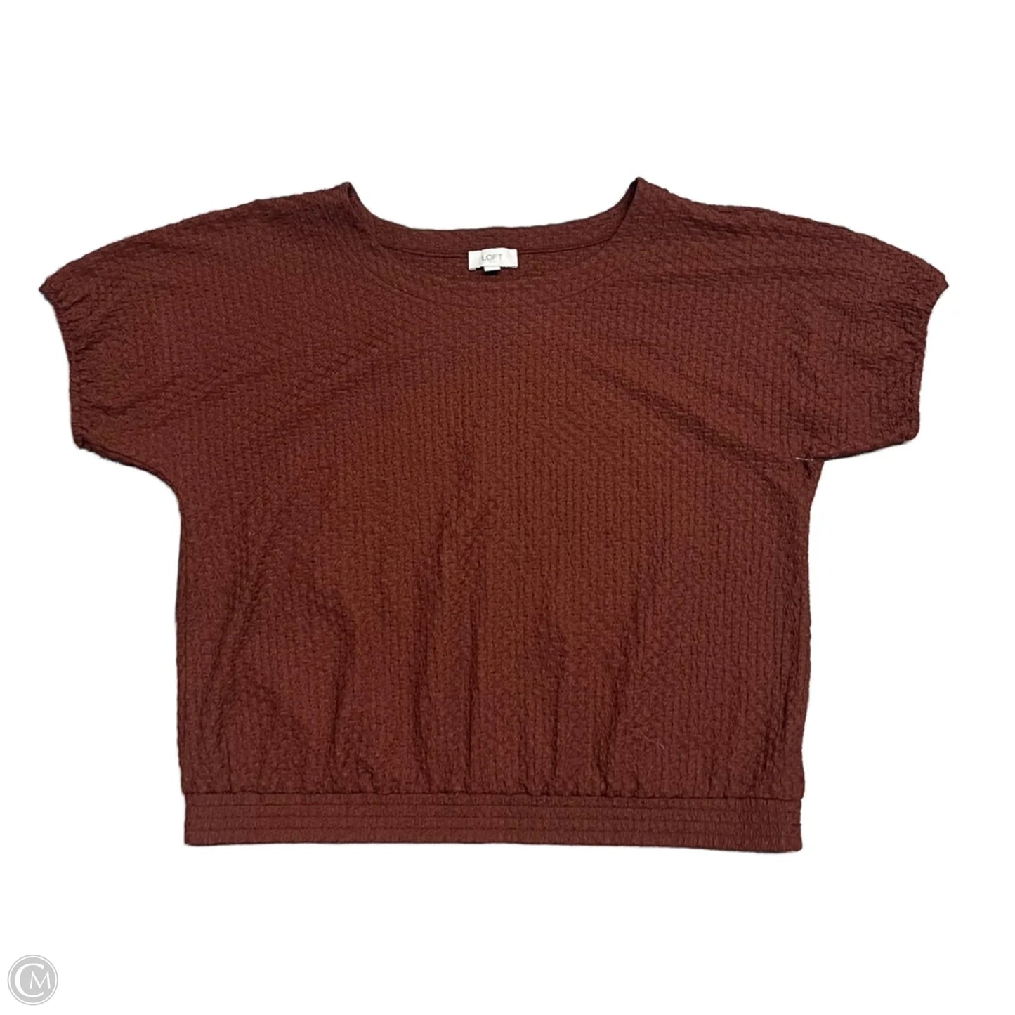 Top Short Sleeve By Loft In Brown, Size: Xl