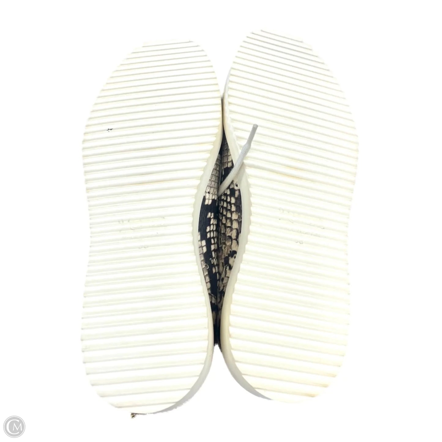 Shoes Sneakers By Homers Artisan In Snakeskin Print, Size: 7.5