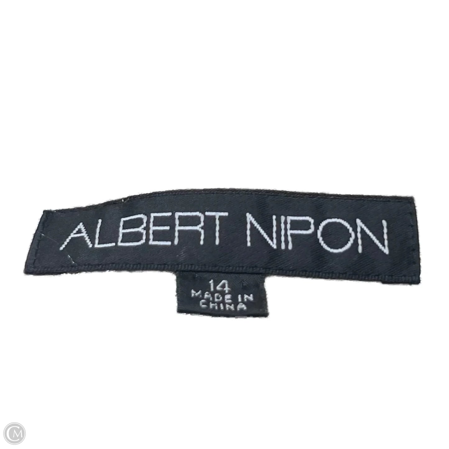 Skirt Set 2pc By Albert Nipon In Blue & Cream, Size: Xl