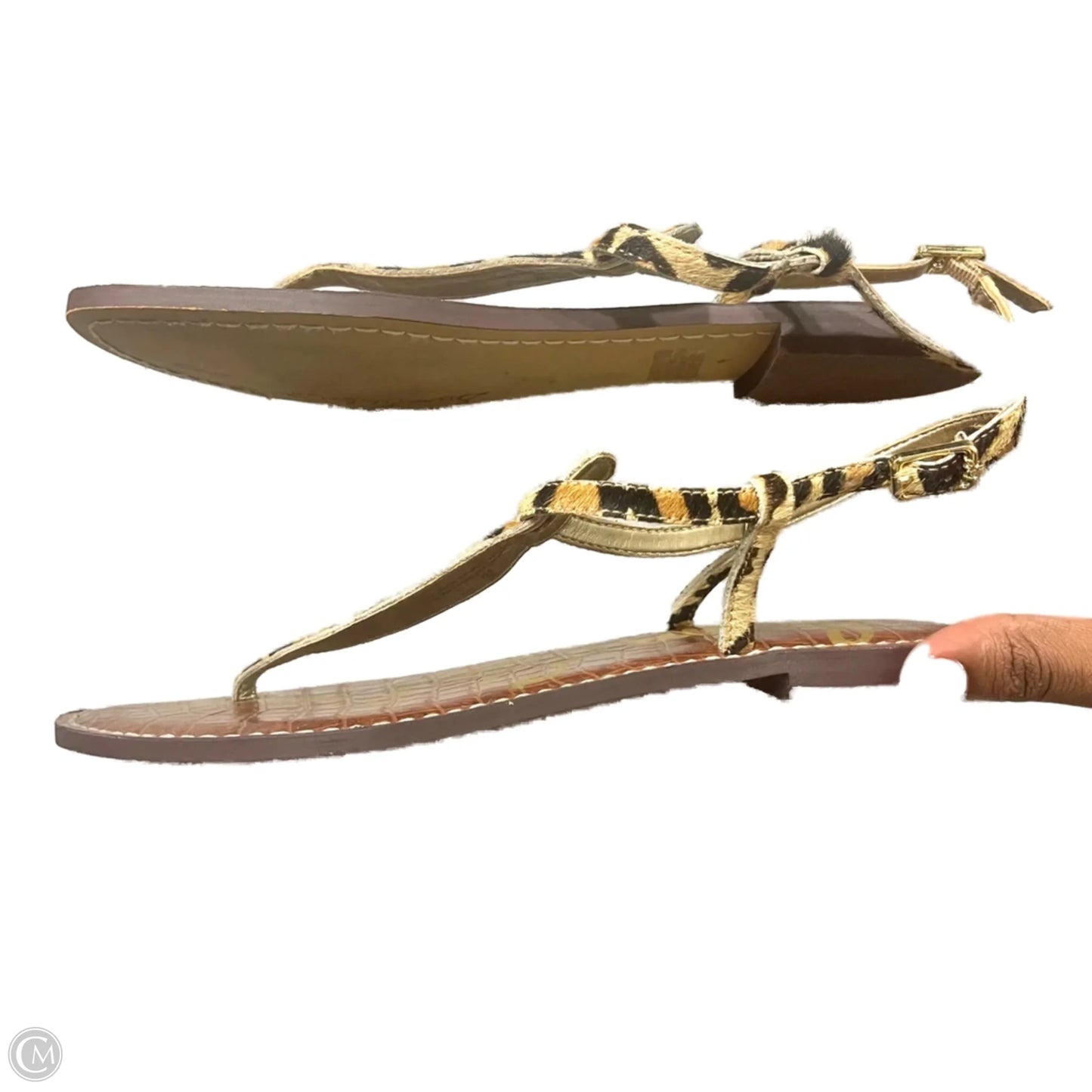 Sandals Flats By Sam Edelman In Leopard Print, Size: 9
