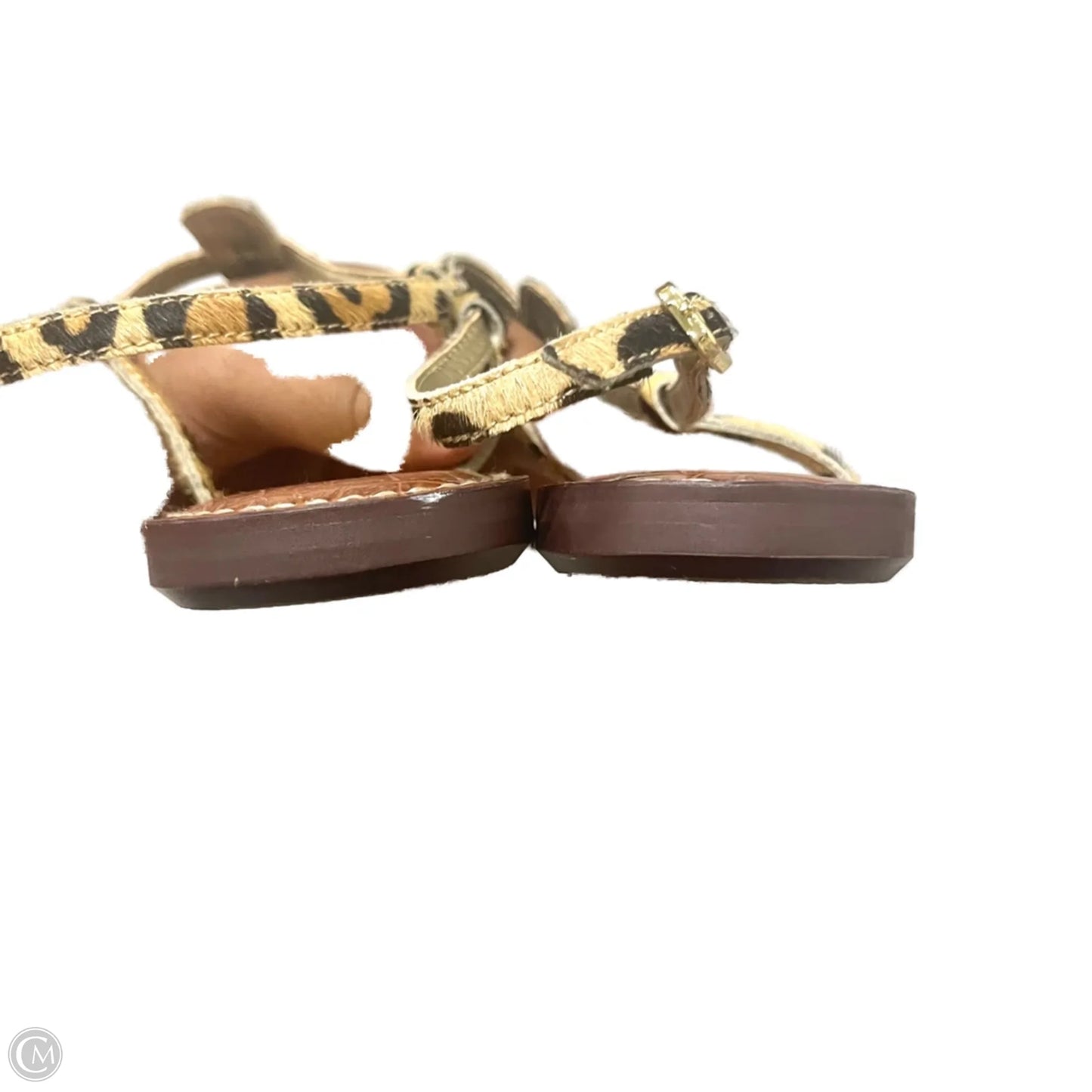 Sandals Flats By Sam Edelman In Leopard Print, Size: 9