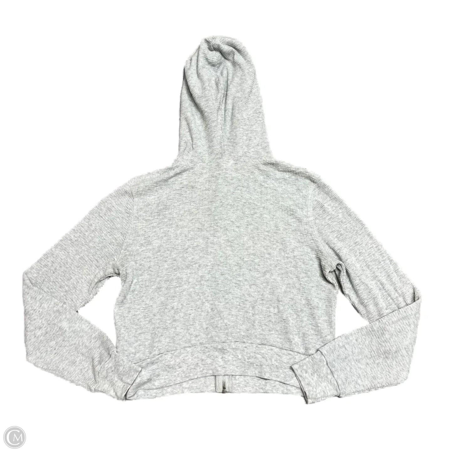 Sweatshirt Hoodie By Tna In Grey, Size: M