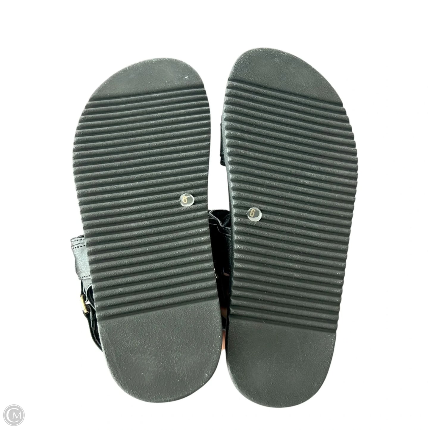 Sandals Heels Platform By Steve Madden In Black, Size: 6