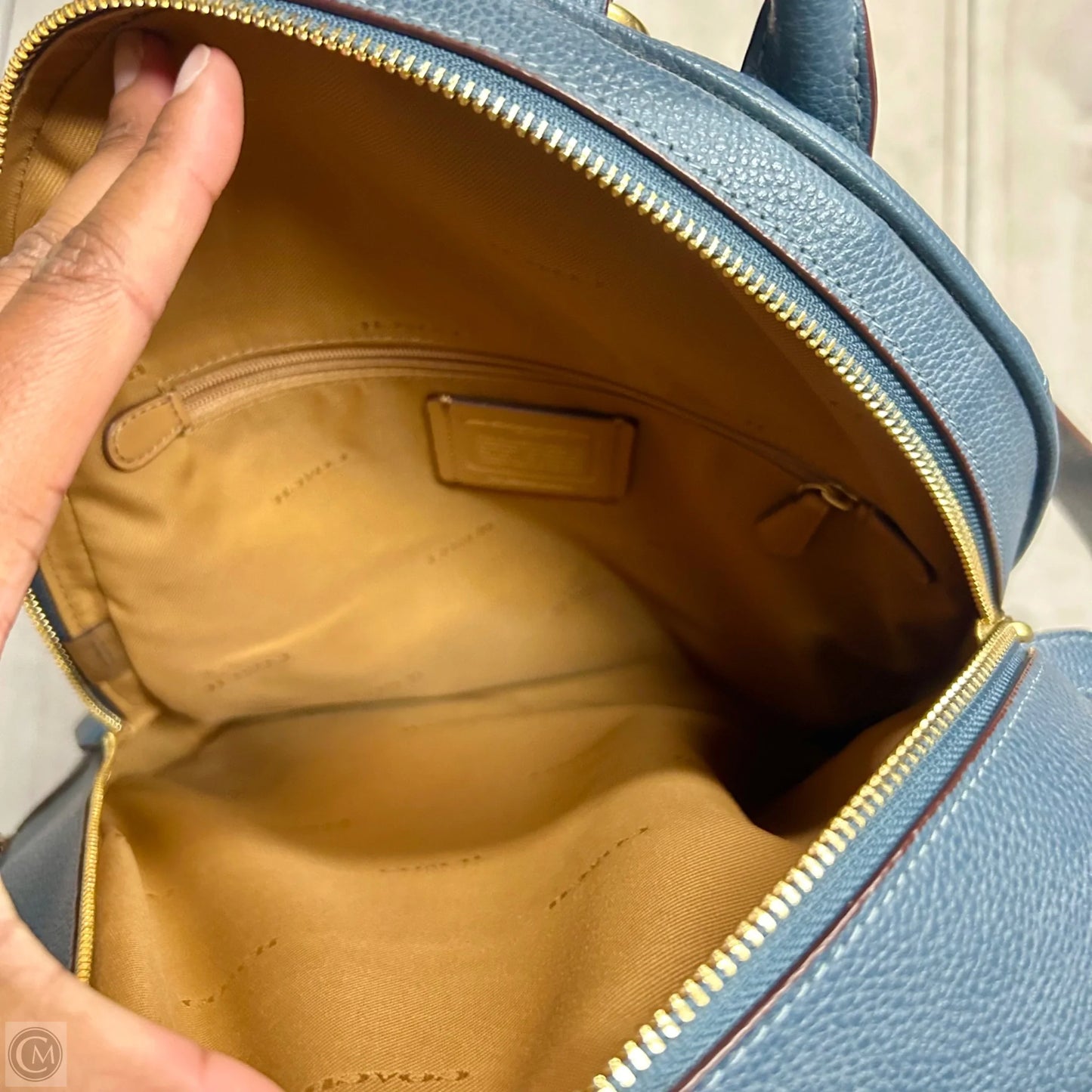 Backpack Designer By Coach, Size: Large
