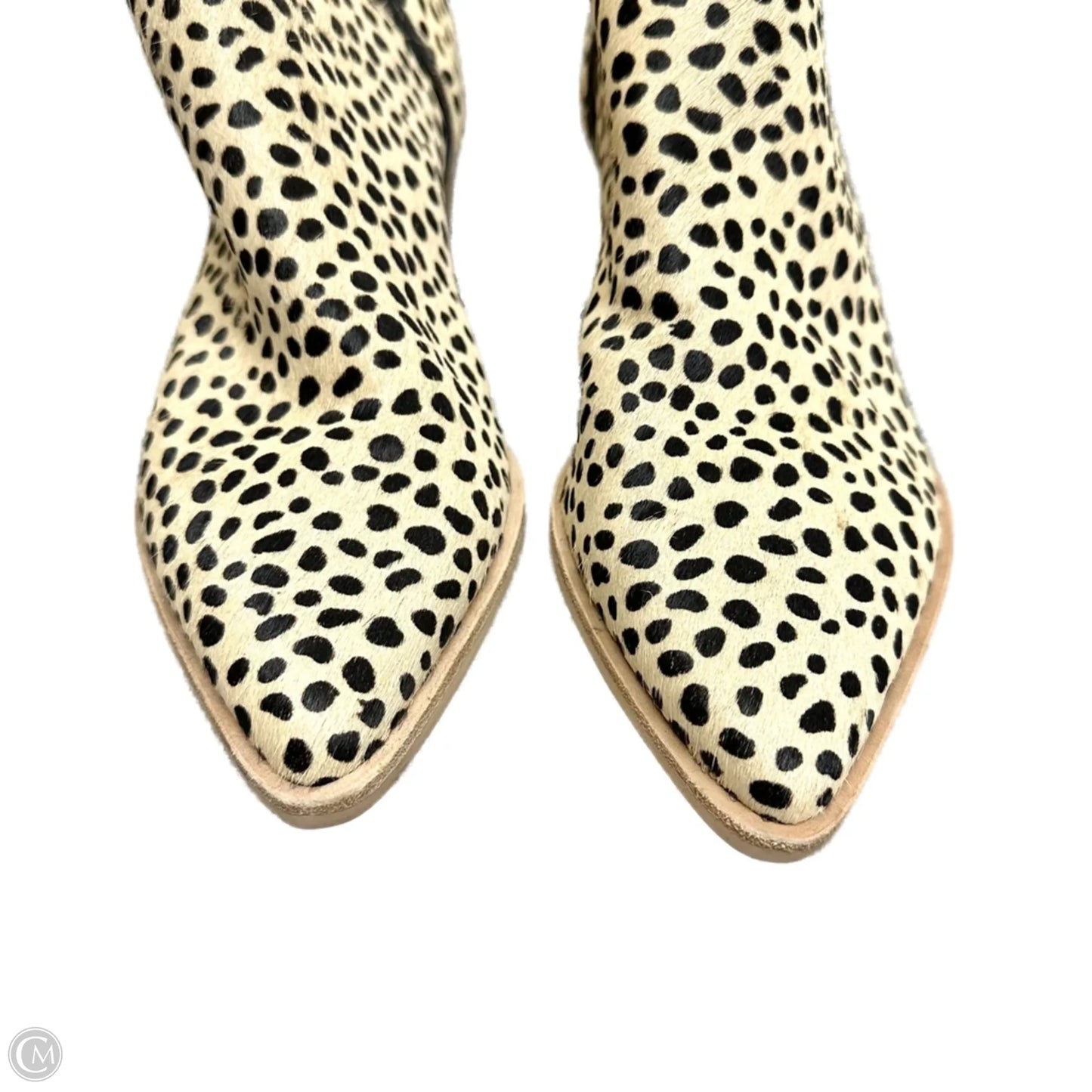 Boots Ankle Heels By Dolce Vita In Leopard Print, Size: 8.5