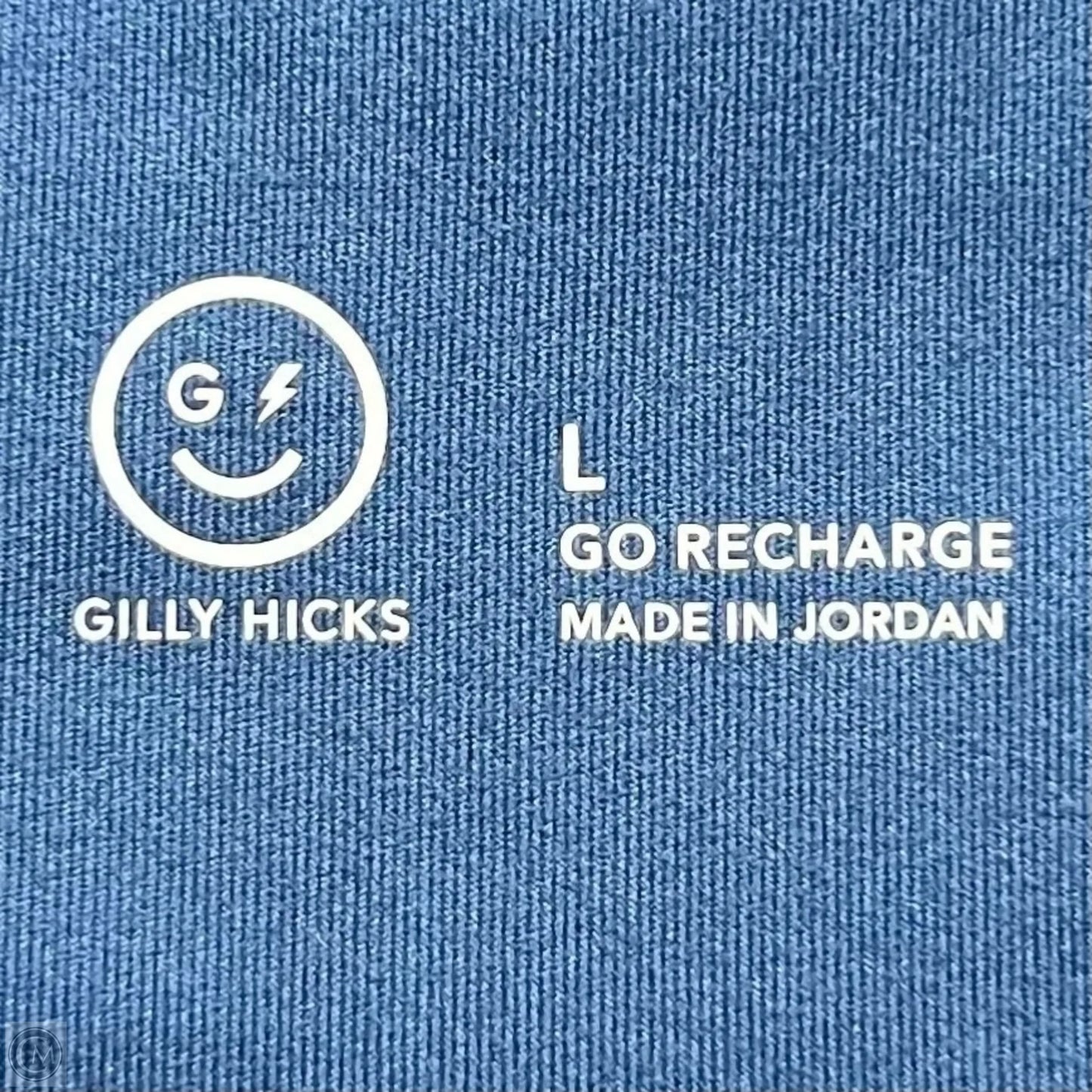 Athletic Leggings By Gilly Hicks In Blue, Size: 12