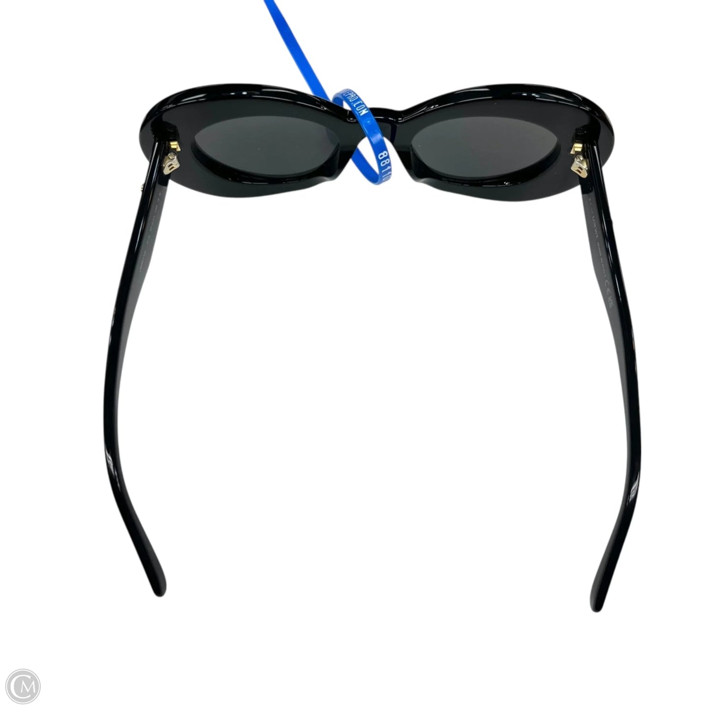 Sunglasses Luxury Designer By Loewe