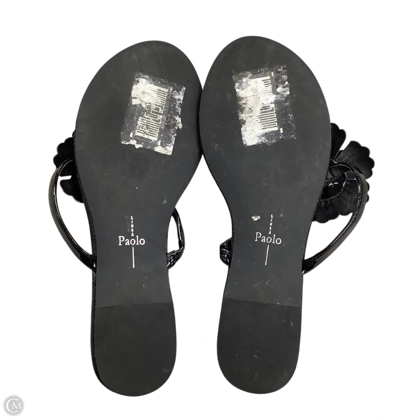 Sandals Flats By Linea Paolo In Black, Size: 8.5