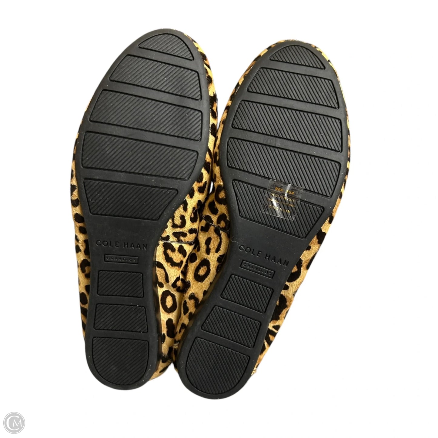 Shoes Flats By Cole-haan In Leopard Print, Size: 7