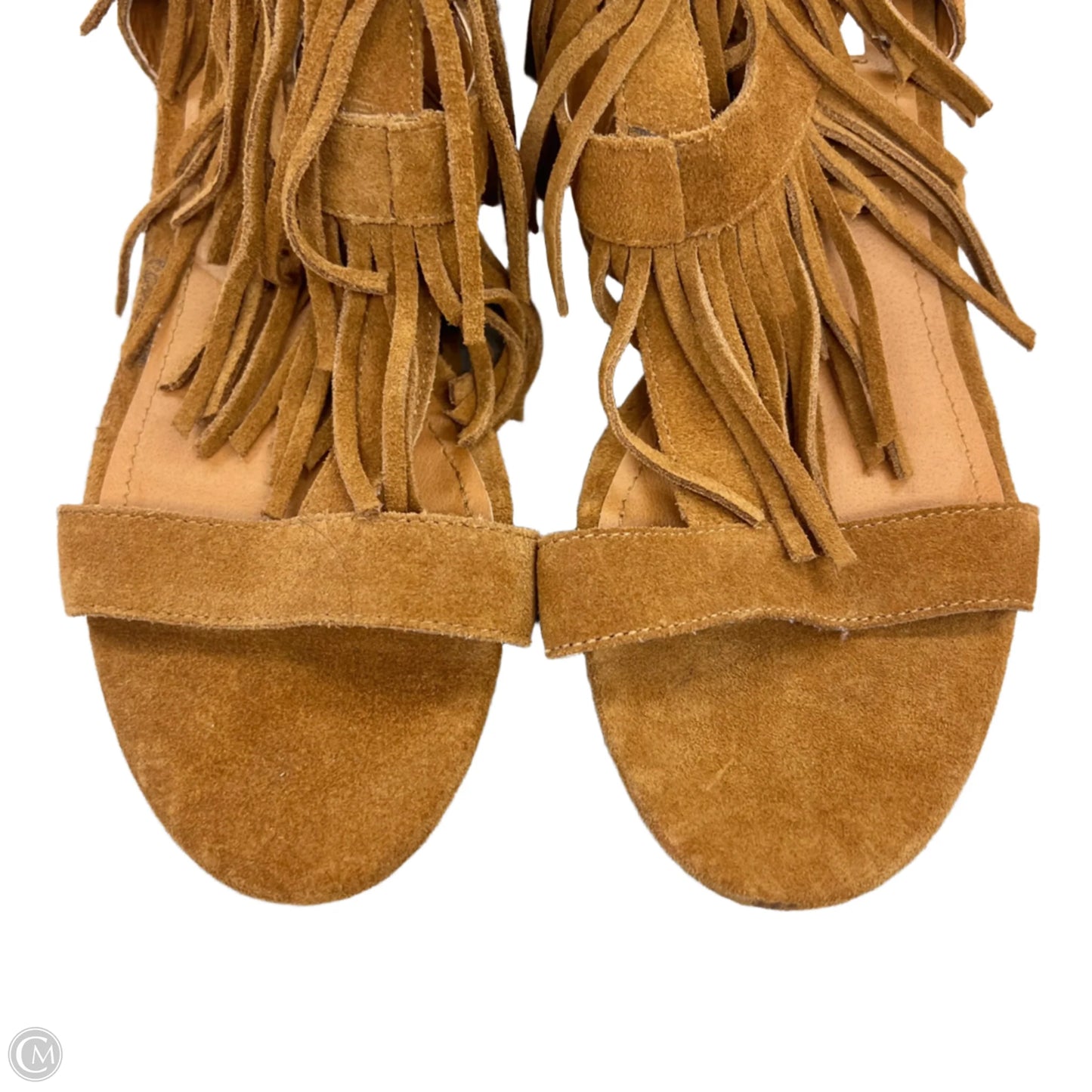 Sandals Heels Wedge By Steve Madden In Brown, Size: 9.5
