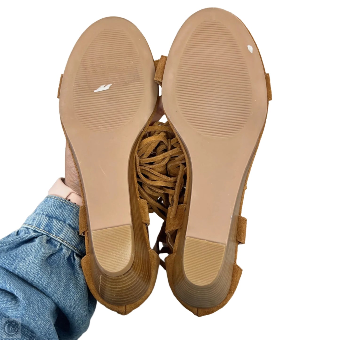Sandals Heels Wedge By Steve Madden In Brown, Size: 9.5