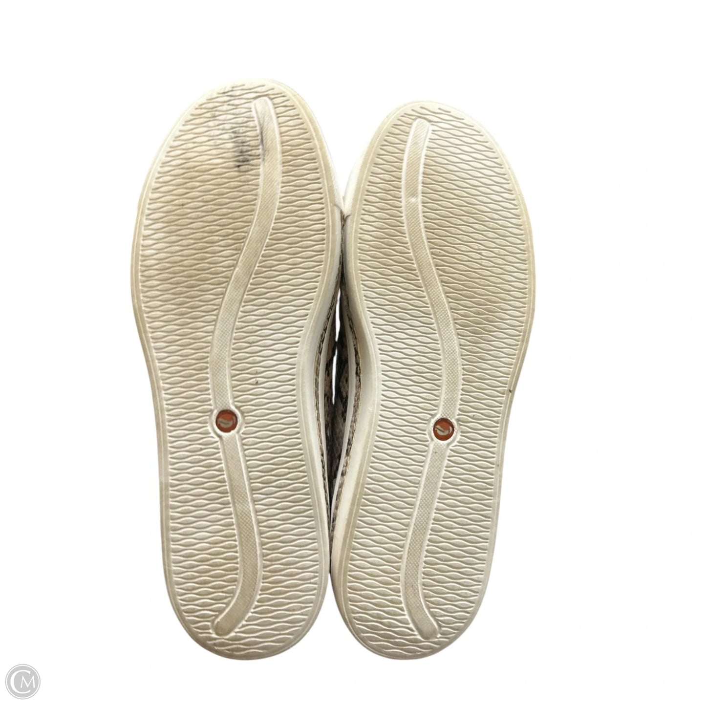 Shoes Sneakers By Clarks In Animal Print, Size: 6