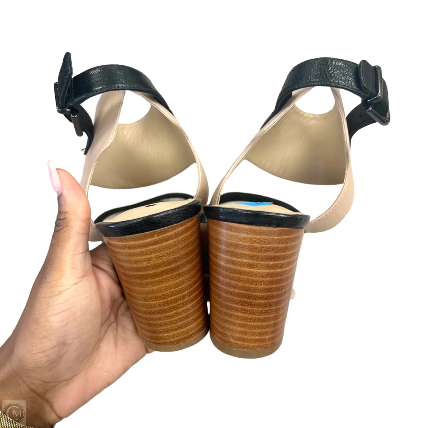 Sandals Heels Block By Via Spiga In Black & Tan, Size: 8.5