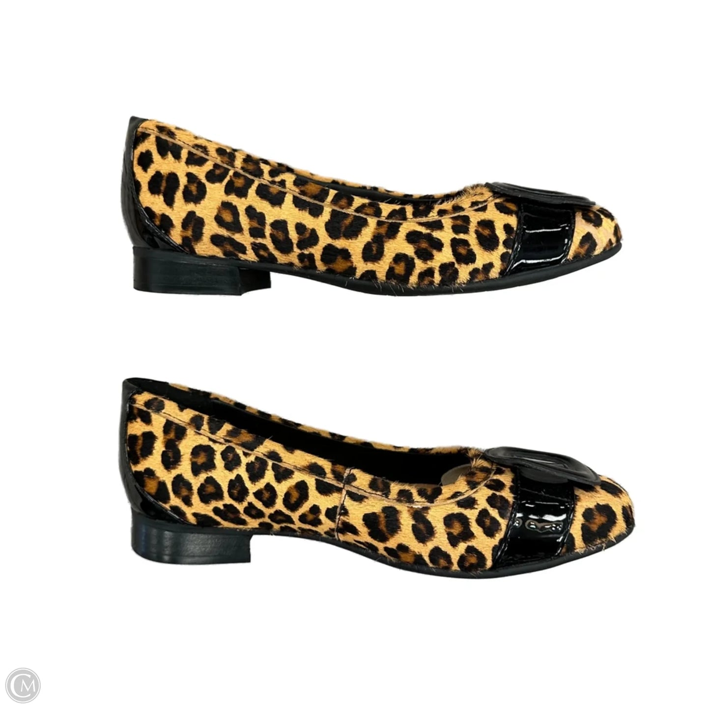 Shoes Flats By Clarks In Animal Print, Size: 6