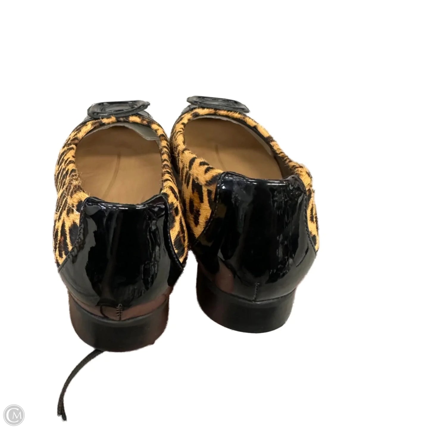 Shoes Flats By Clarks In Animal Print, Size: 6