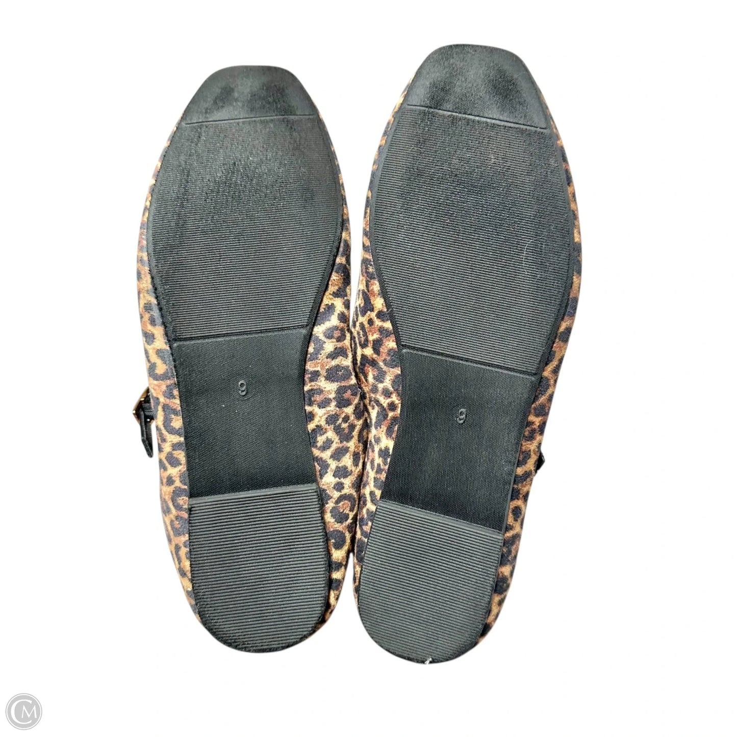 Shoes Flats By Serra In Animal Print, Size: 9