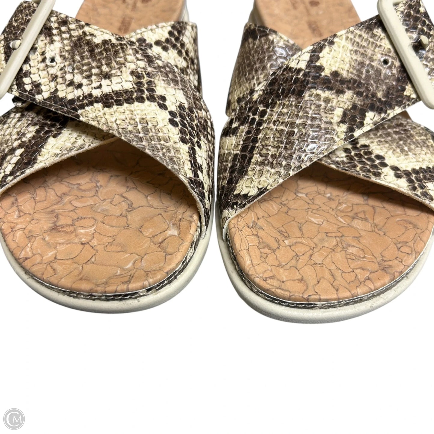 Shoes Flats By Clarks In Snakeskin Print, Size: 6