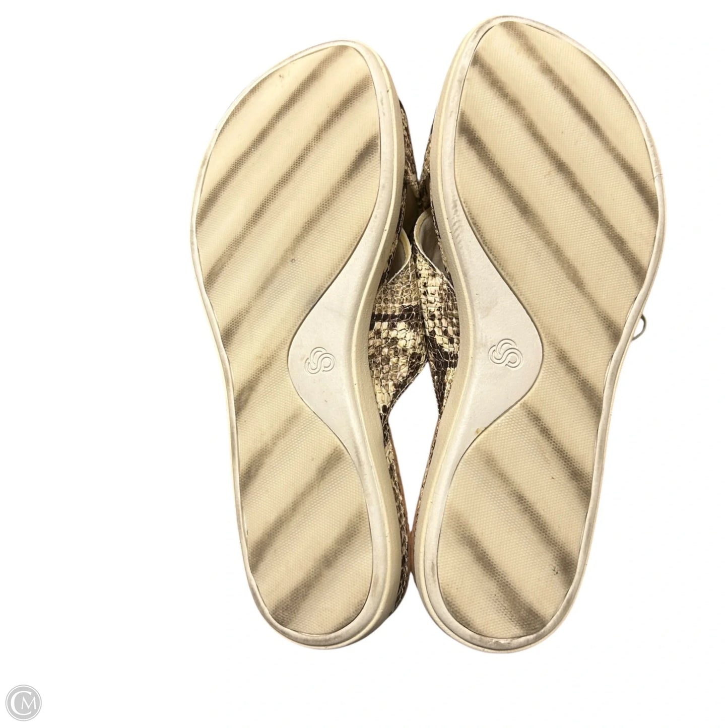 Shoes Flats By Clarks In Snakeskin Print, Size: 6