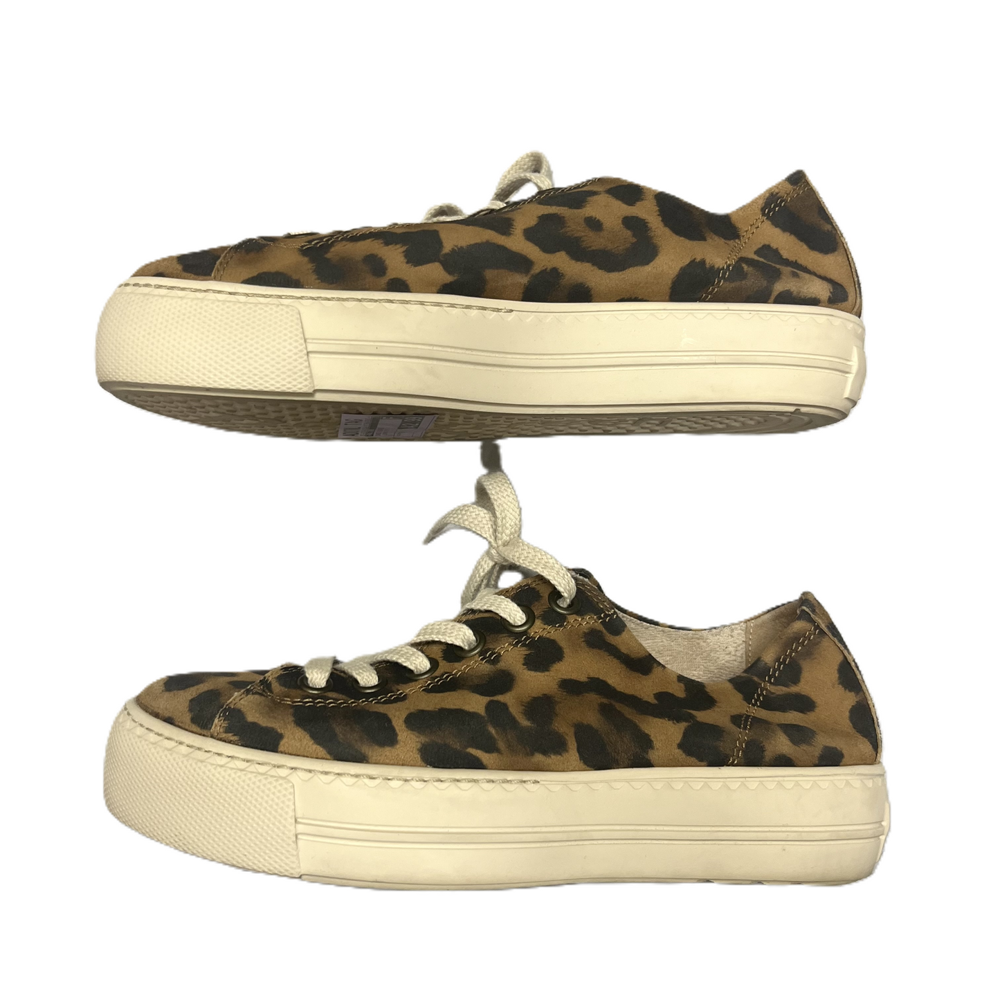 Leopard Print Shoes Sneakers By Paul Green, Size: 9