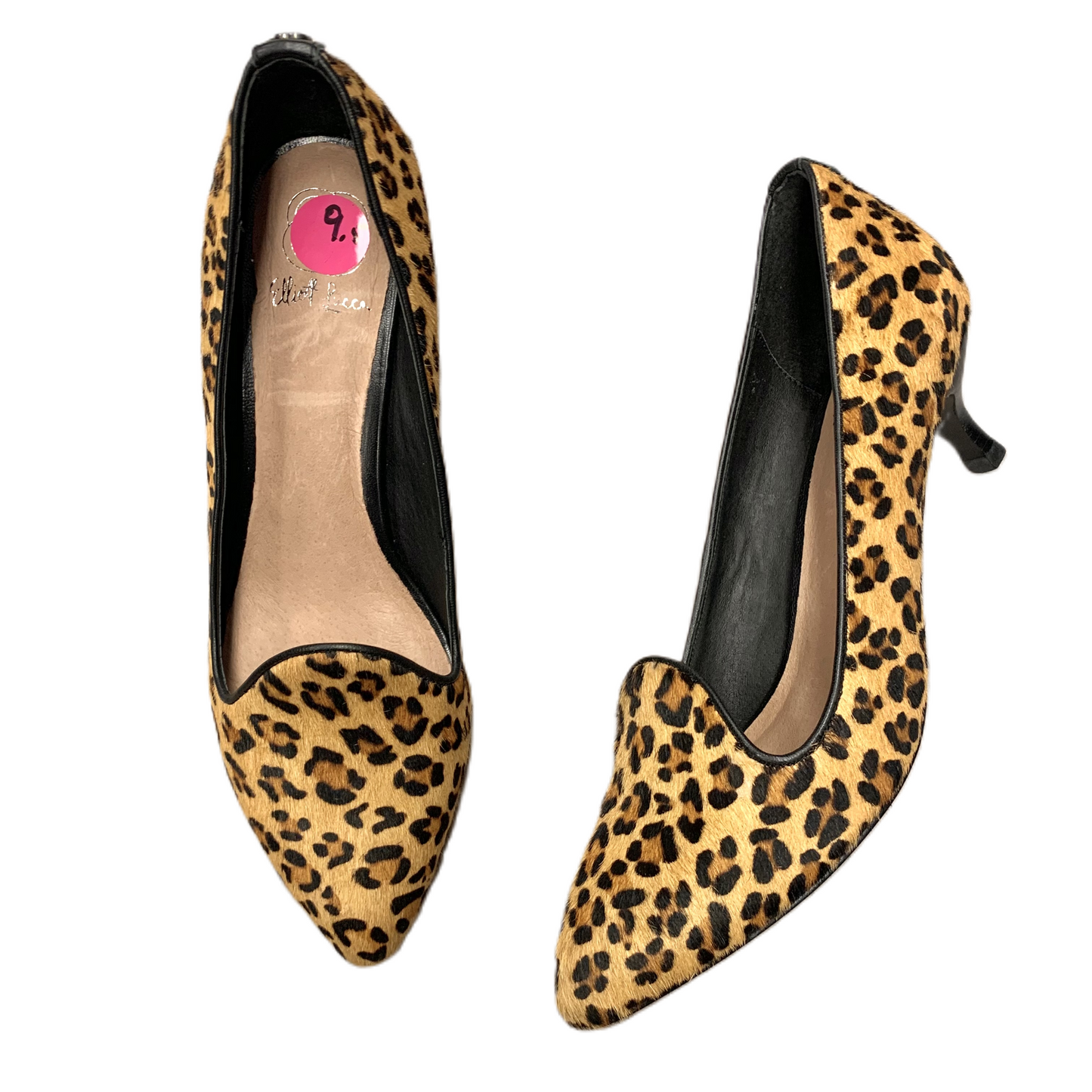 Shoes Heels Kitten By Elliot Lucca In Leopard Print, Size: 9.5