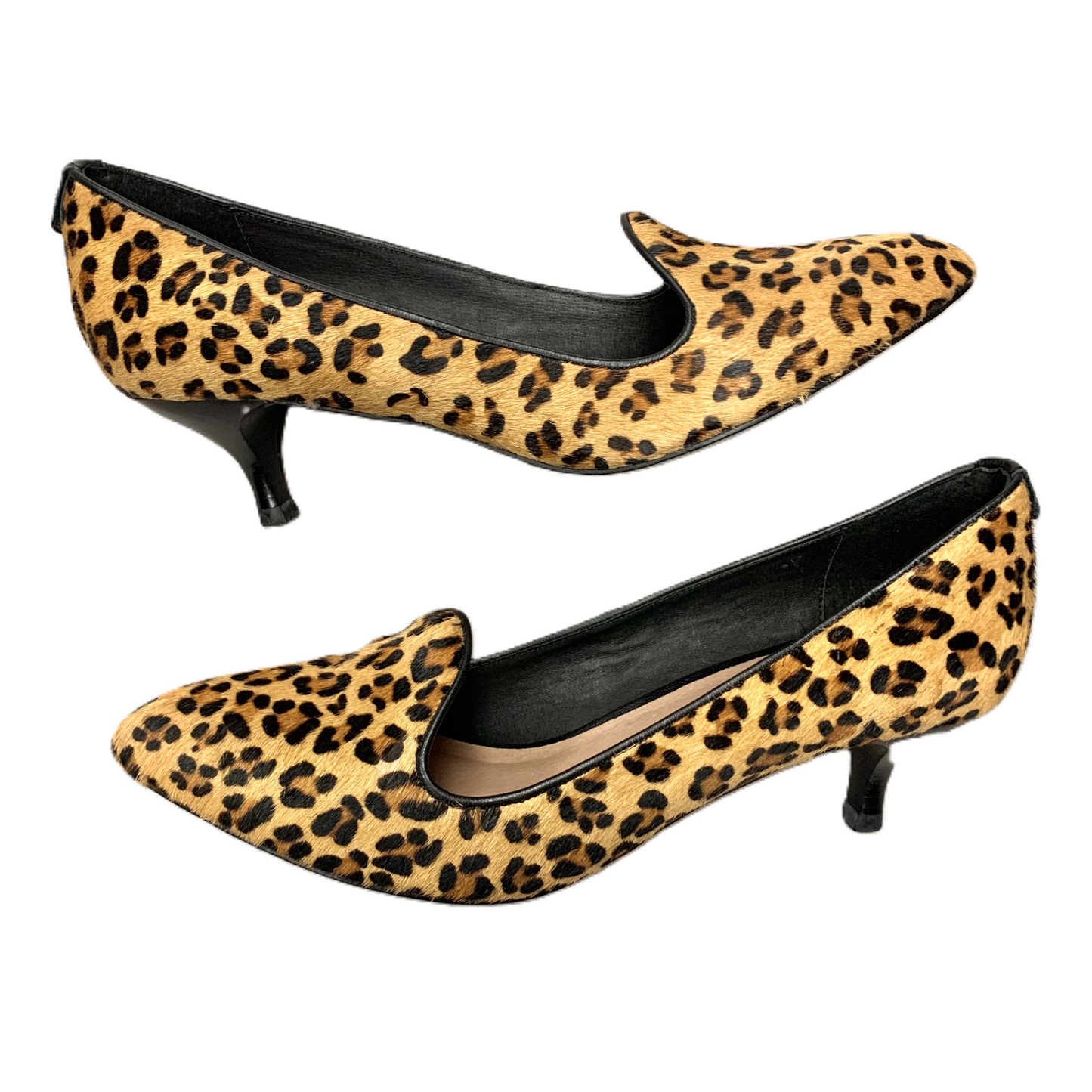 Shoes Heels Kitten By Elliot Lucca In Leopard Print, Size: 9.5