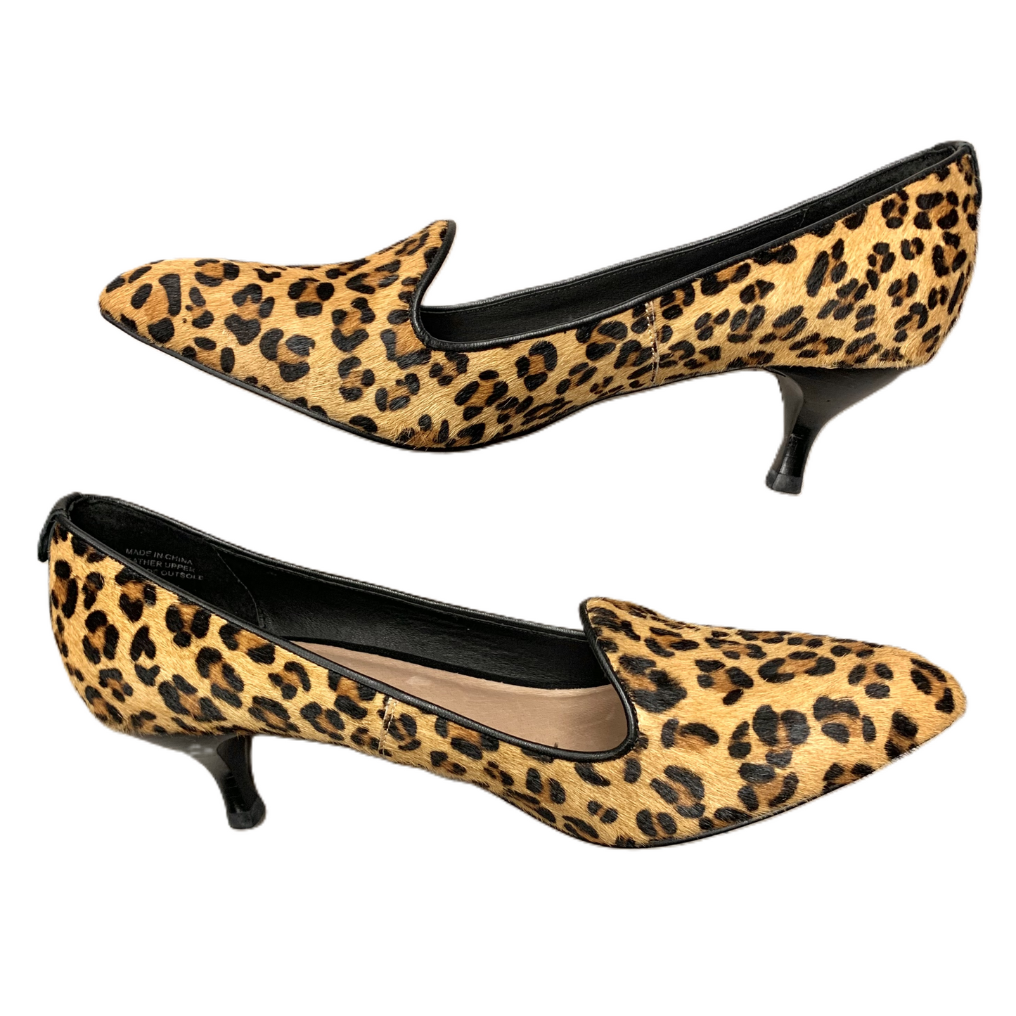 Shoes Heels Kitten By Elliot Lucca In Leopard Print, Size: 9.5