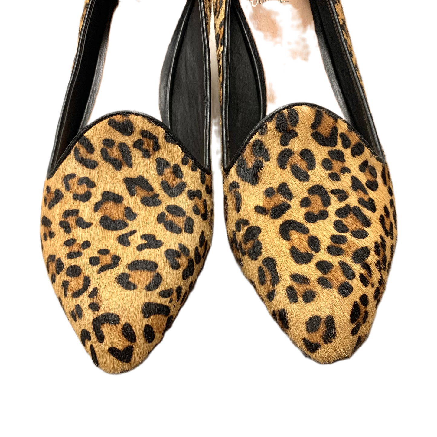 Shoes Heels Kitten By Elliot Lucca In Leopard Print, Size: 9.5