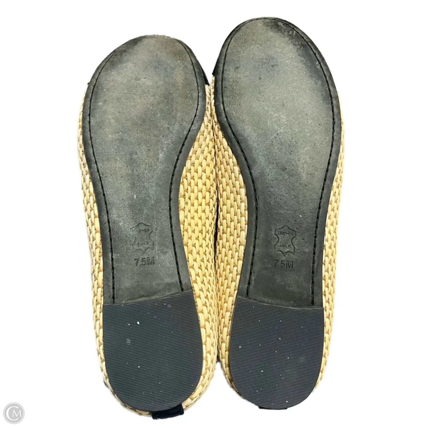 Shoes Designer By Tory Burch In Blue & Cream, Size: 7.5