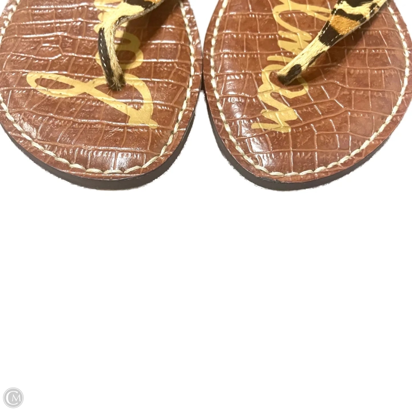 Sandals Flats By Sam Edelman In Leopard Print, Size: 9