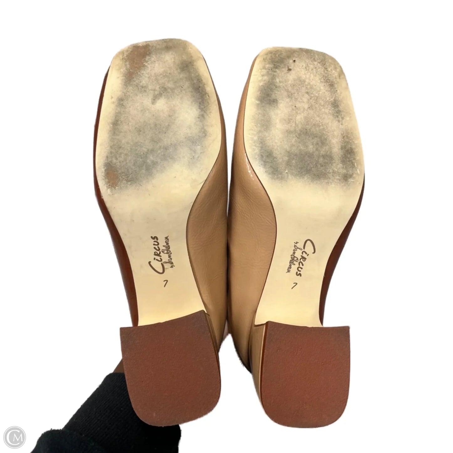 Shoes Heels Block By Circus By Sam Edelman In Brown, Size: 7