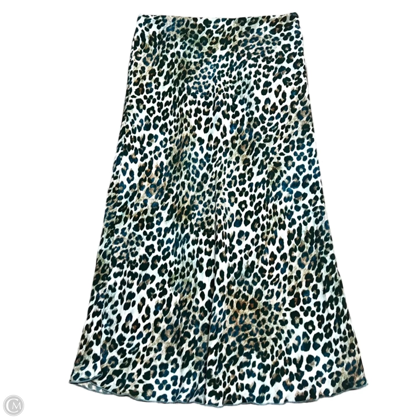 Skirt Maxi By Fifteen Twenty In Leopard Print, Size: 12