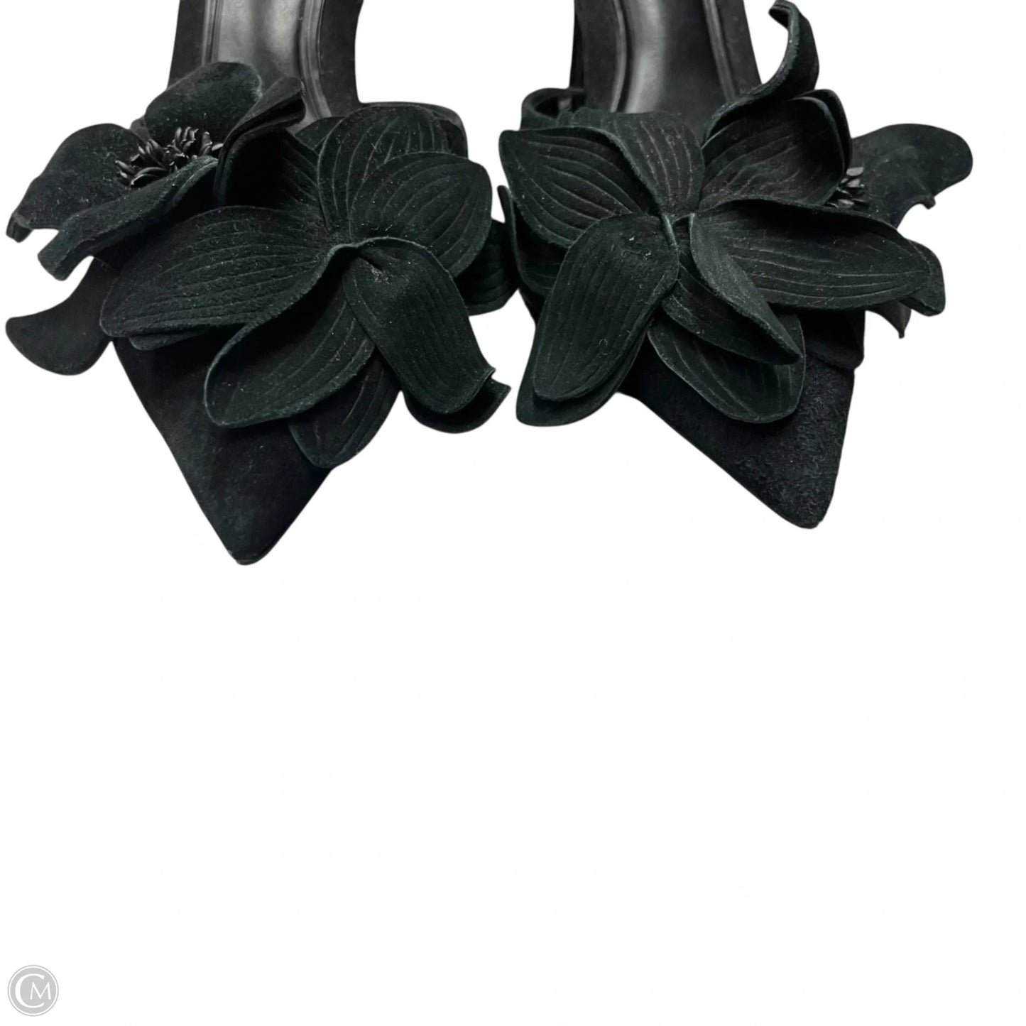 Shoes Heels Kitten By Zara In Black, Size: 6.5