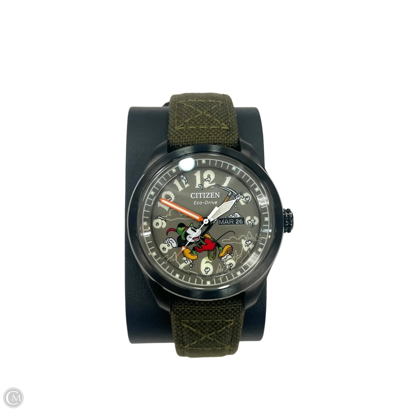 Watch By Citizen