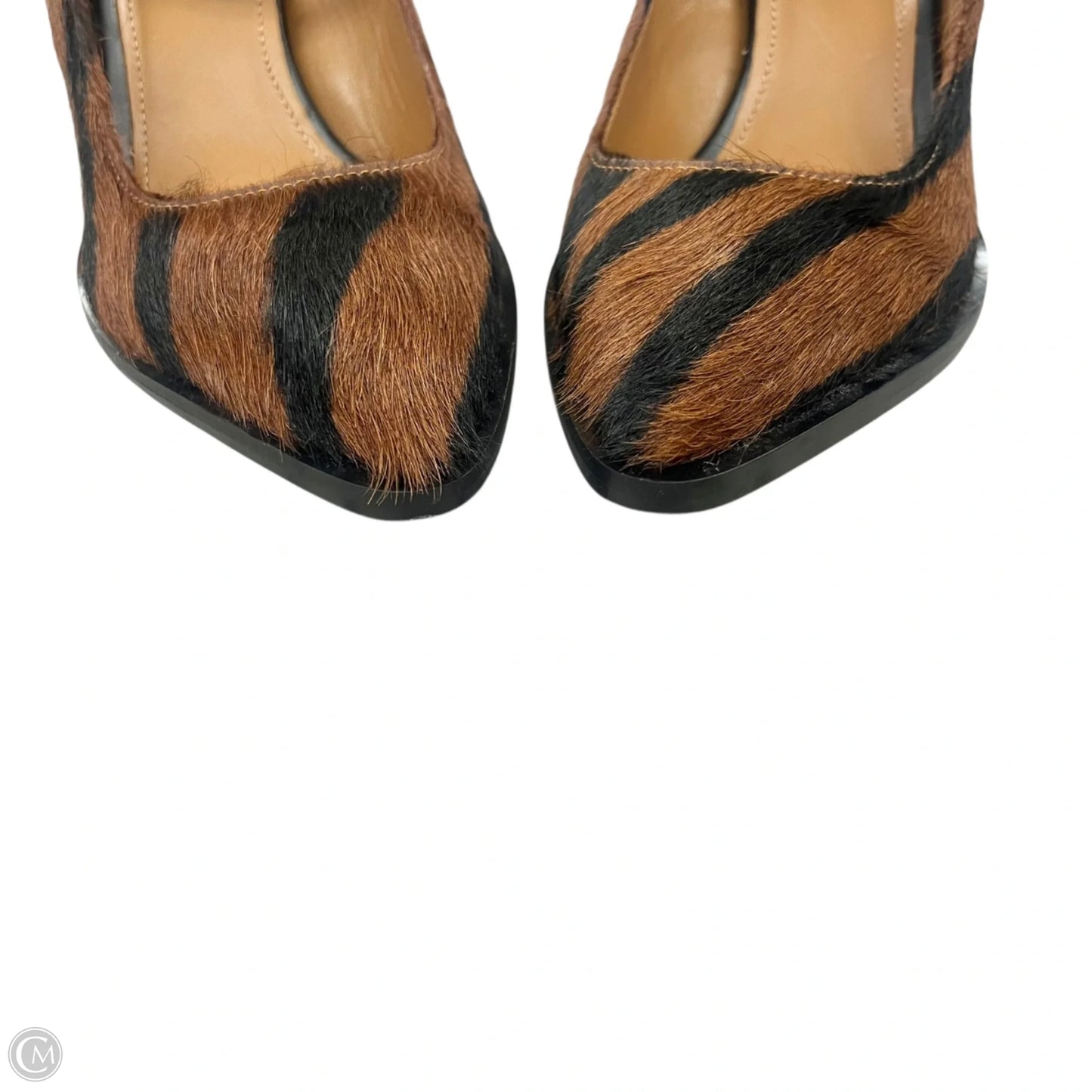 Shoes Heels Block By All Tomorrow Parties In Zebra Print, Size: 6.5