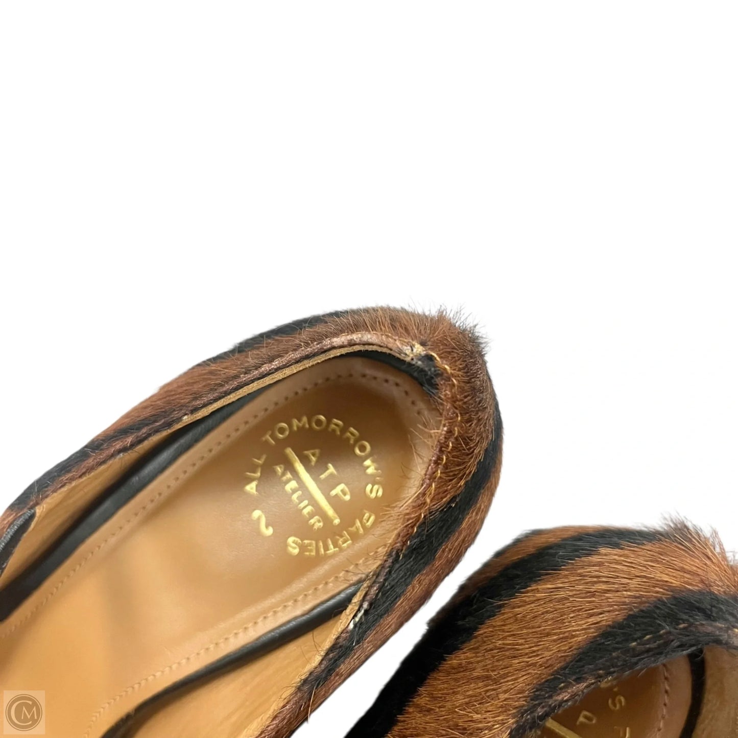 Shoes Heels Block By All Tomorrow Parties In Zebra Print, Size: 6.5