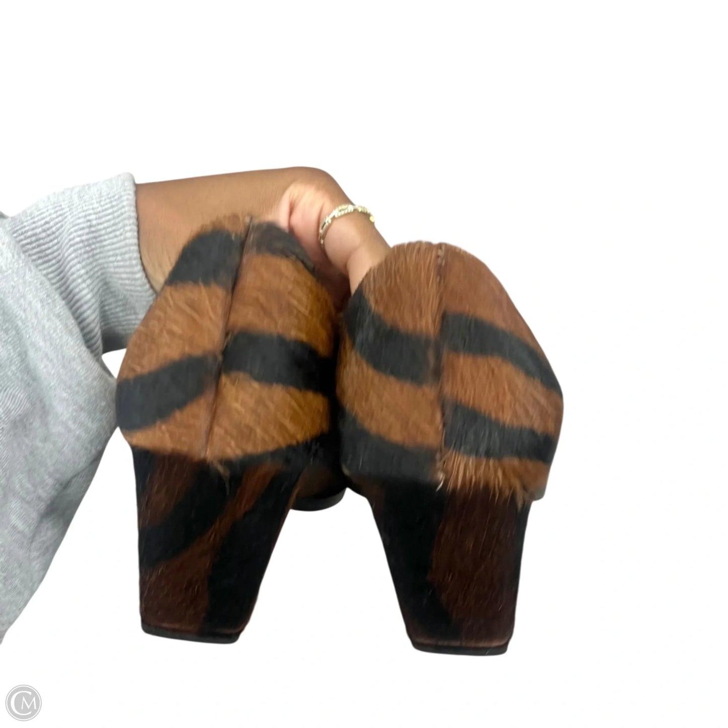 Shoes Heels Block By All Tomorrow Parties In Zebra Print, Size: 6.5