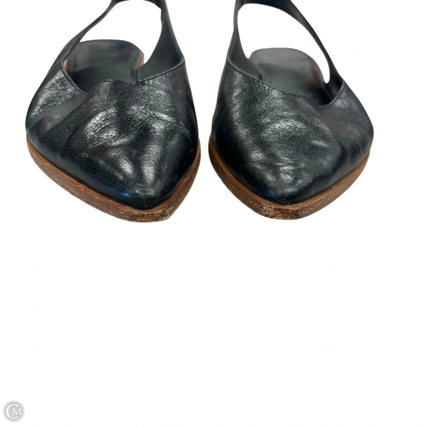 Shoes Designer By Frye In Black, Size: 11