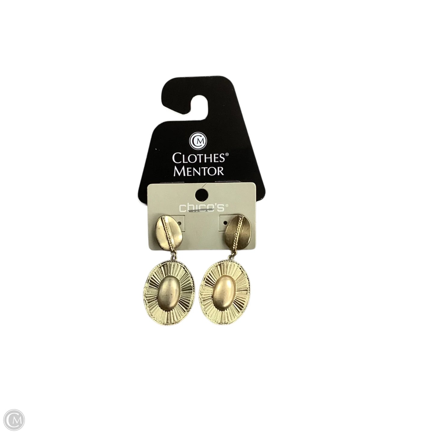 Earrings Dangle/drop By Chicos