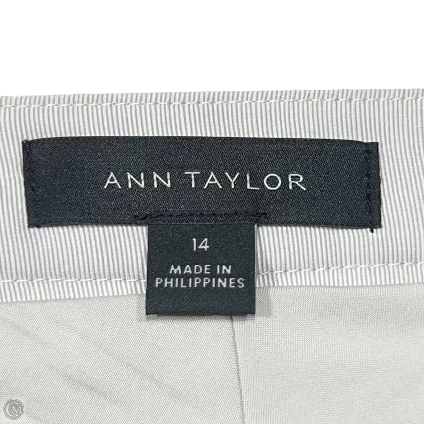 Skirt Maxi By Ann Taylor In Cream, Size: 14