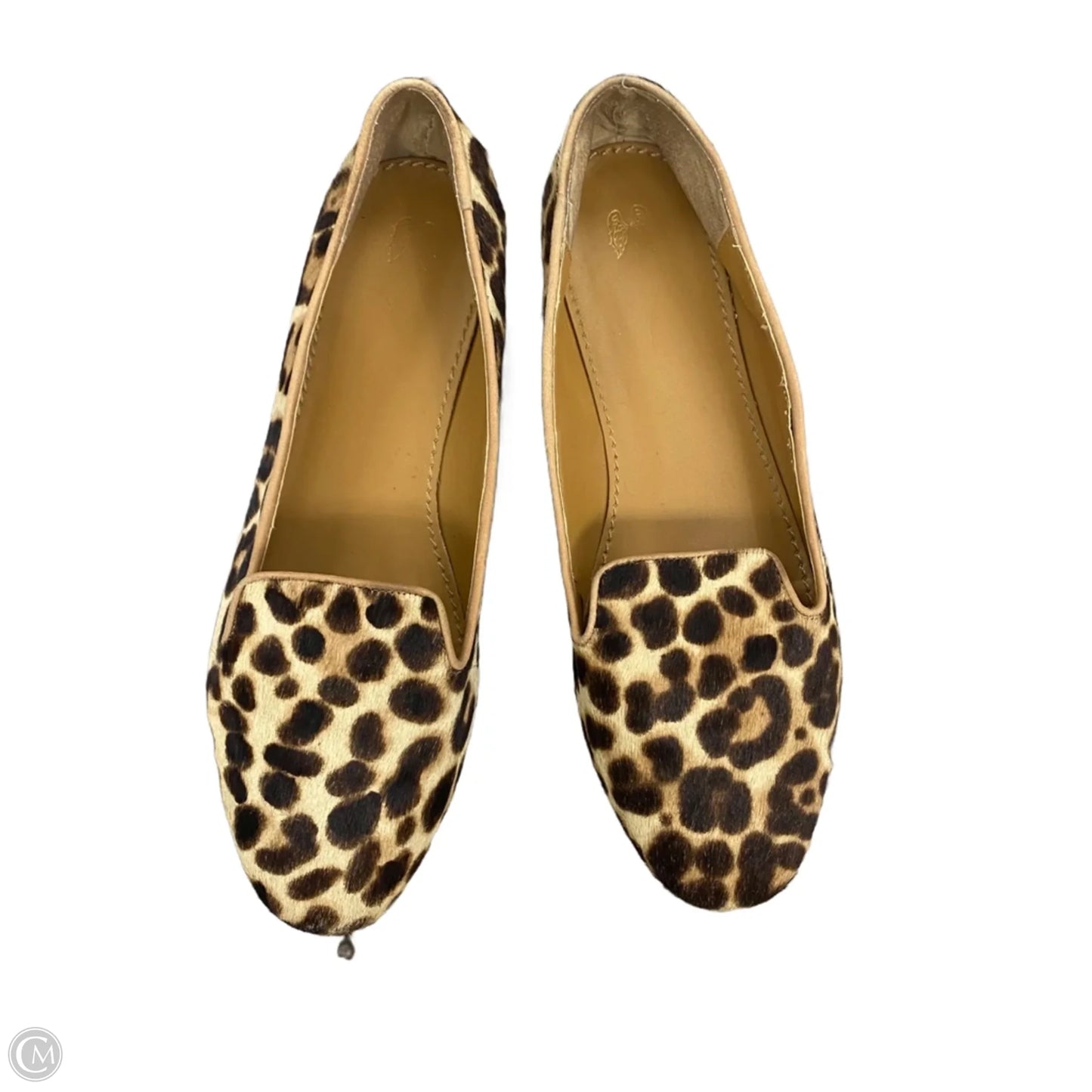 Shoes Flats In Leopard Print, Size: 11
