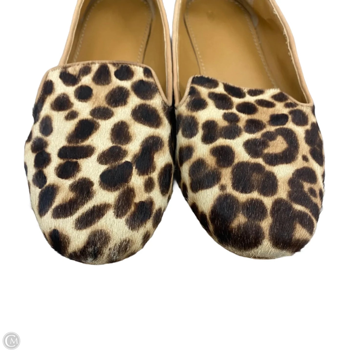 Shoes Flats In Leopard Print, Size: 11