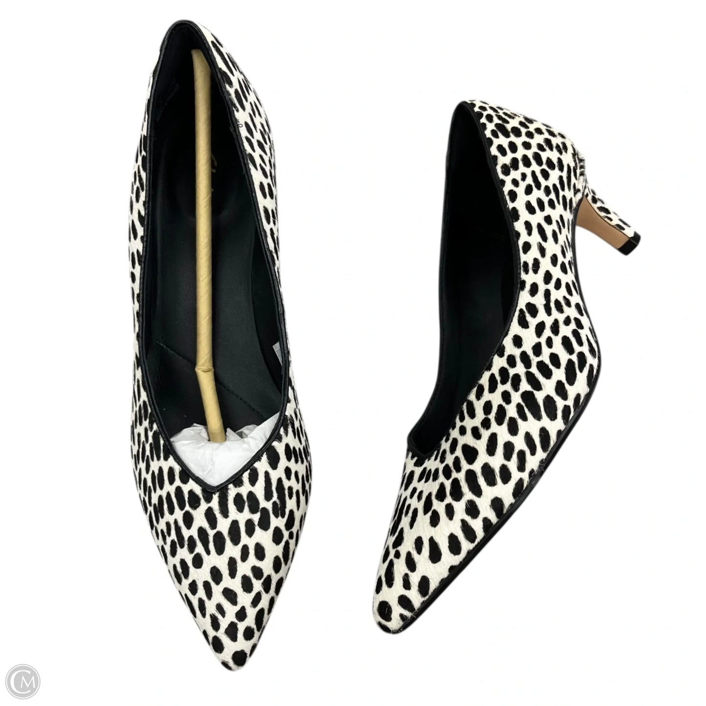 Shoes Heels Kitten By Clarks In Animal Print, Size: 8.5
