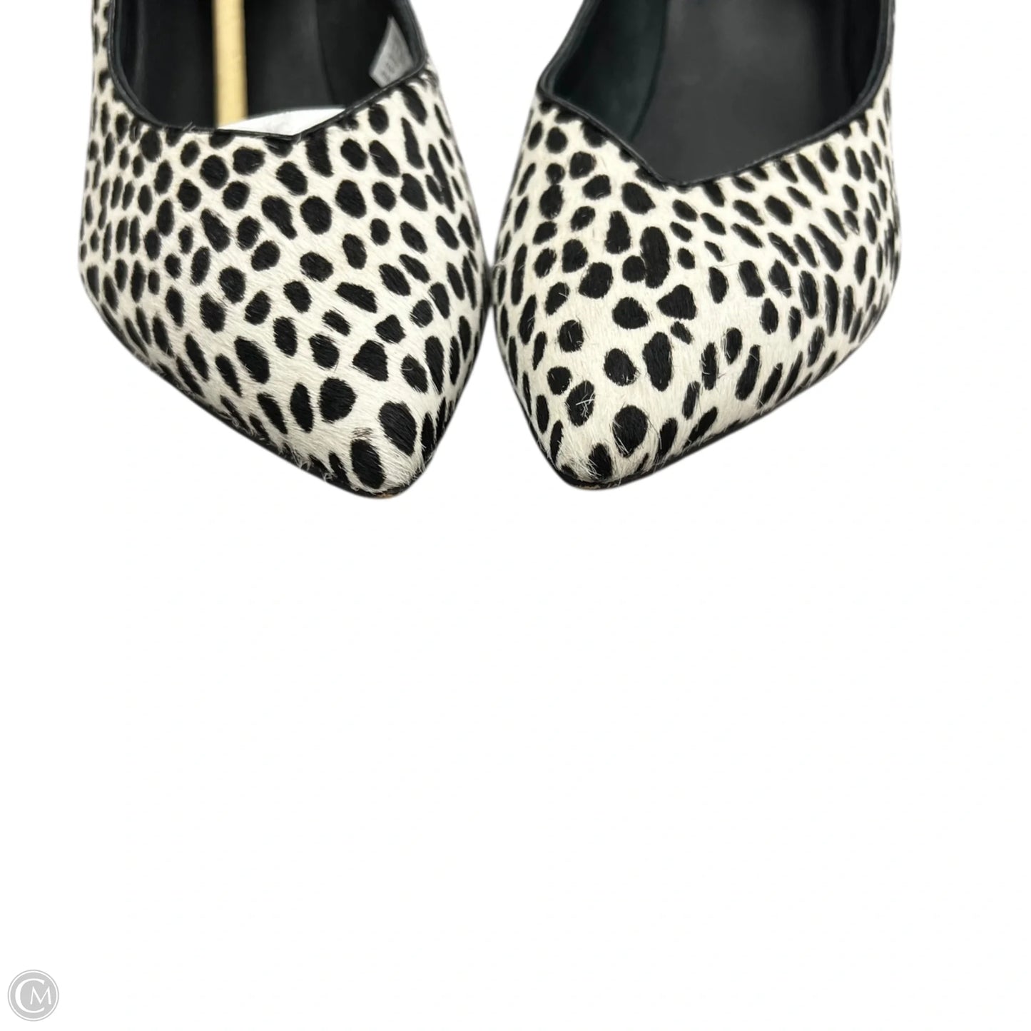 Shoes Heels Kitten By Clarks In Animal Print, Size: 8.5