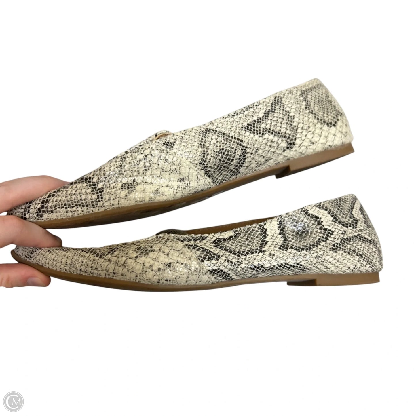 Shoes Flats By Express In Snakeskin Print, Size: 6
