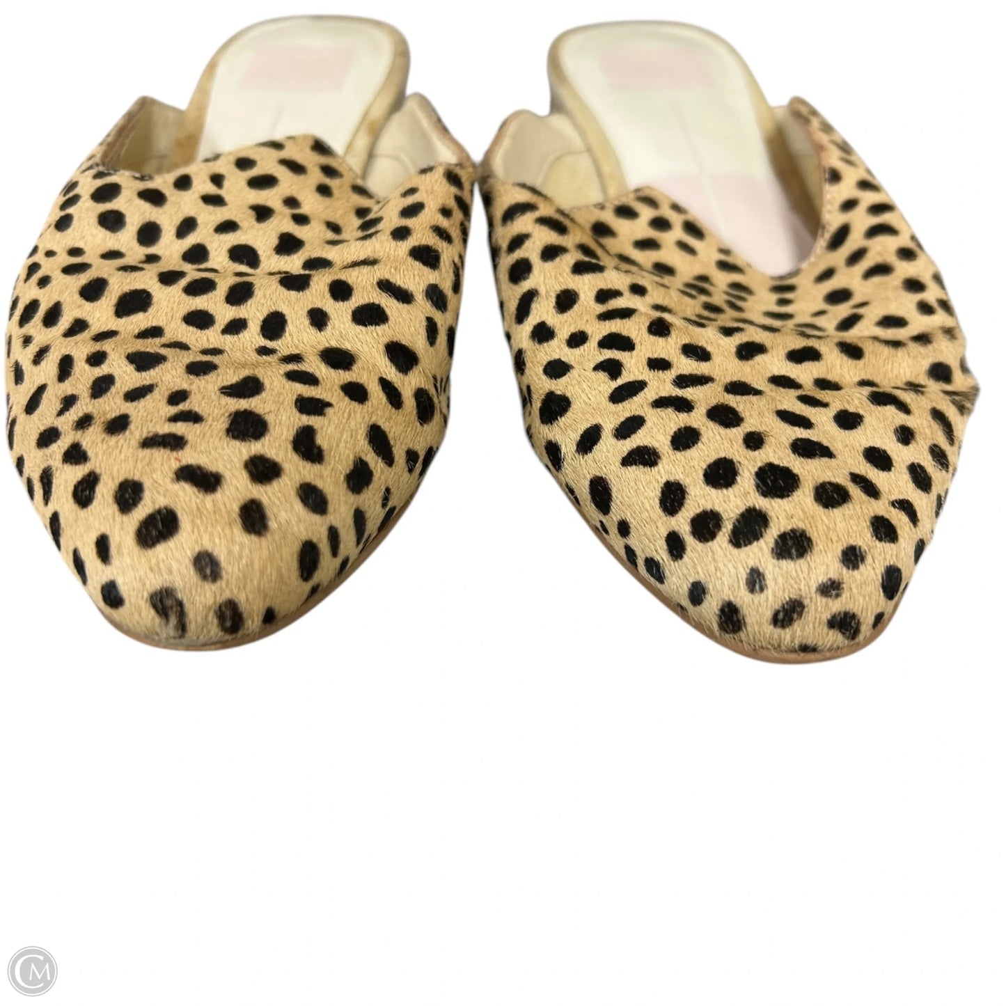 Shoes Flats By Dolce Vita In Leopard Print, Size: 7