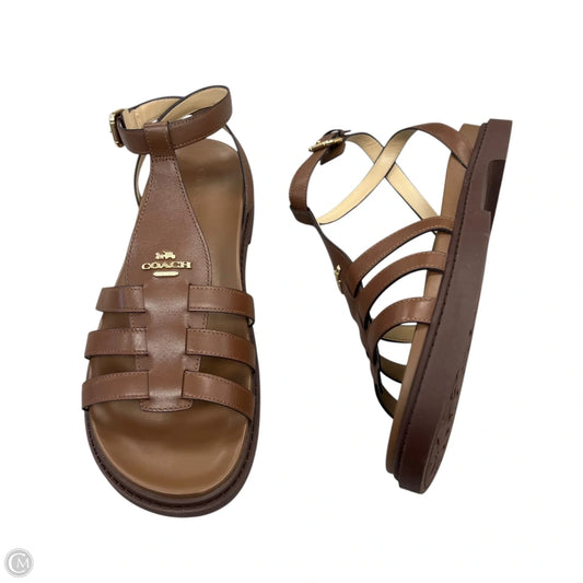 Sandals Designer By Coach In Brown, Size: 11
