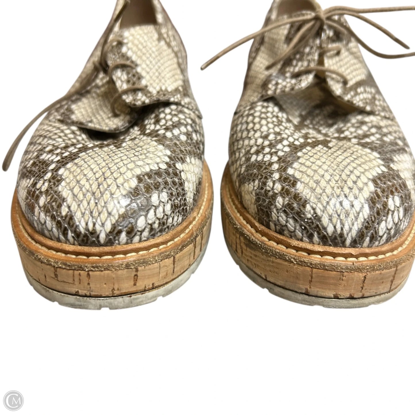 Shoes Heels Platform By Agl In Snakeskin Print, Size: 10.5