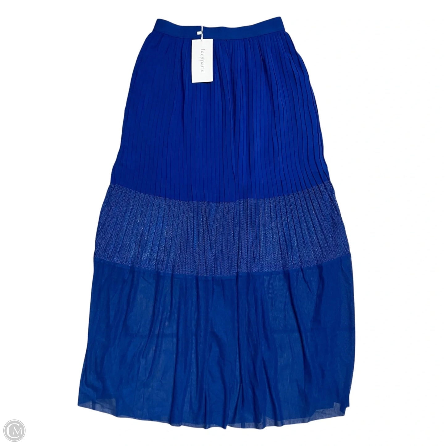 Skirt Maxi By Lucy Paris In Blue, Size: 4