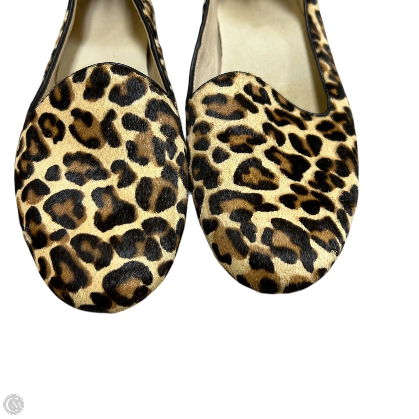 Shoes Flats By Cole-haan In Leopard Print, Size: 6