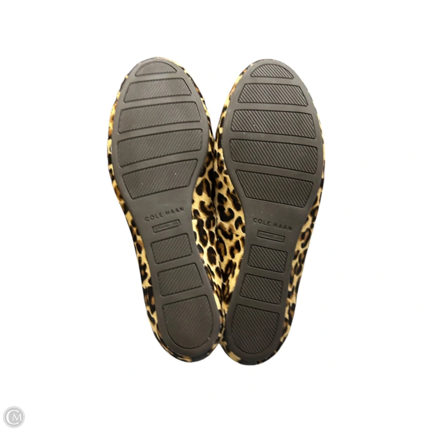 Shoes Flats By Cole-haan In Leopard Print, Size: 6